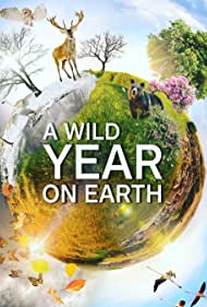 Смотреть A Wild Year on Earth (2020) онлайн в Хдрезка качестве 720p