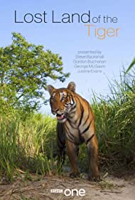 Смотреть Lost Land of the Tiger (2010) онлайн в Хдрезка качестве 720p