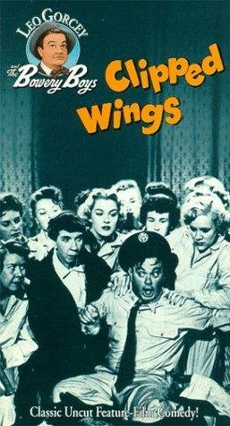 Cмотреть Clipped Wings (1953) онлайн в Хдрезка качестве 720p