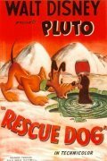 Смотреть Rescue Dog (1947) онлайн в HD качестве 720p