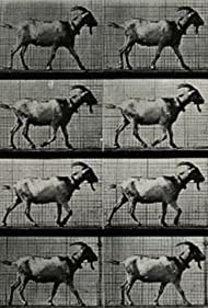 Смотреть Goat Walking (1887) онлайн в HD качестве 720p
