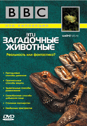 Смотреть BBC: Эти загадочные животные (2002) онлайн в Хдрезка качестве 720p