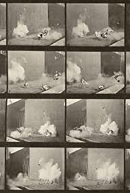 Смотреть Chickens Scared by Torpedo (1887) онлайн в HD качестве 720p
