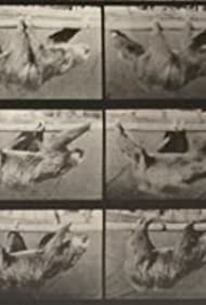 Смотреть Sloth Climbing (1887) онлайн в HD качестве 720p