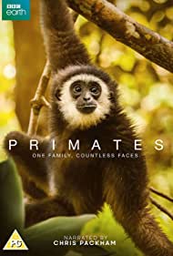 Смотреть Приматы (2020) онлайн в Хдрезка качестве 720p